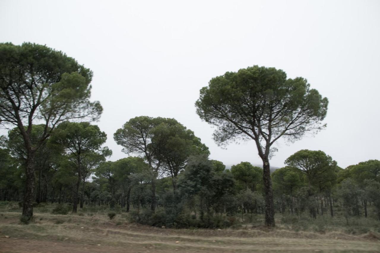 مدريديخوس Posada Del Herrero المظهر الخارجي الصورة